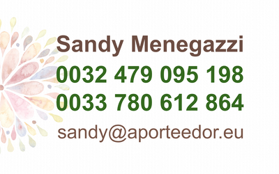 Contacter Sandy